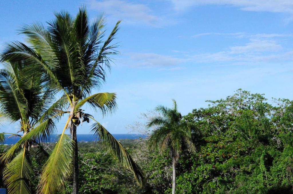 B&B El Mirador Al Mar Sosua Exterior photo